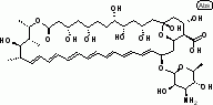 两性霉素 B