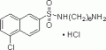 N-(6-Aminohexyl)-5-chloro-2-naphthalenesulfonamide hydrochloride