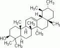 α-香树精