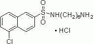 N-(6-Aminohexyl)-5-chloro-2-naphthalenesulfonamide hydrochloride