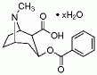 Benzoylecgonine hydrate