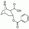 Benzoylnorecgonine
