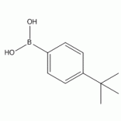 4-叔丁基苯硼酸