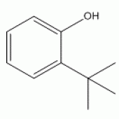 2-叔丁基苯酚