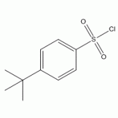 4-叔丁基苯磺酰氯
