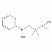 吡啶-4-硼酸频哪醇酯
