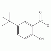 4-叔丁基-2-硝基苯酚