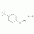 4-叔丁基苯肼.盐酸盐