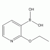 2-乙氧基吡啶-3-硼酸