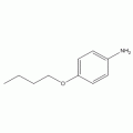 4-正丁氧基苯胺