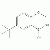 5-叔丁基-2-甲氧基苯硼酸