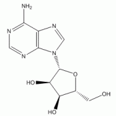 腺苷；腺嘌呤核苷