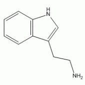 3-(2-氨乙基)吲哚