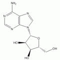 腺苷；腺嘌呤核苷