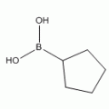 环戊基硼酸