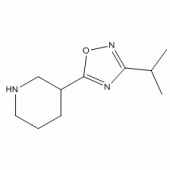 3-(3-异丙基-1,2,4-二唑-5-基)哌啶
