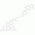 3,7-二氢-6-[4-[2-[N'-(5-荧光素)硫脲基]乙氧基]苯基]-2-甲基咪唑[1.2-a]并吡嗪-3-酮[化学发光试剂]