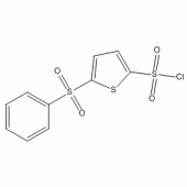 5-(苯磺酰)噻吩-2-磺酰氯