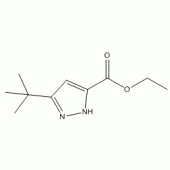 3-叔丁基-1H-吡唑-5-甲基乙酯