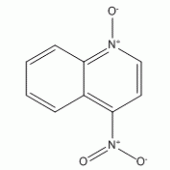 4-硝基喹啉-N-氧化物