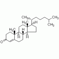 4-胆甾烯-3-酮