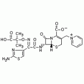头孢他啶(含约10%的碳酸钠)