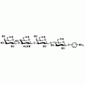Gal beta(1-3)GlcNAc beta(1-3)Gal beta(1-4)Glc-beta-pNP