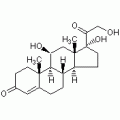 氢化可的松