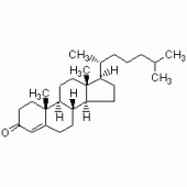 4-胆甾烯-3-酮