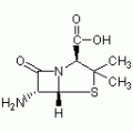 6-氨基青霉烷酸