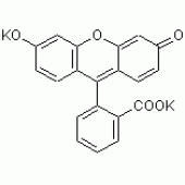 荧光素二钾