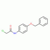 N-(4-Benzyloxy-phenyl)-2-chloro-acetamide