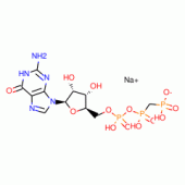 B,GAMMA-METHYLENEGUANOSINE 5'-*TRIPHOSPH ATE SODIUM