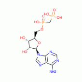 A,B-METHYLENEADENOSINE 5'-DIPHOSPHATE*FR EE ACID