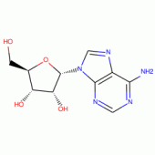 A-ADENOSINE FREE BASE