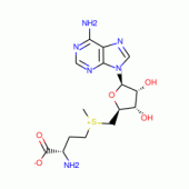 S-腺苷L-蛋氨酸对甲苯磺酸盐