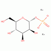 A-D(+)MANNOSE 1-PHOSPHATE DIPOTASSIUM*AP PROX. 95%