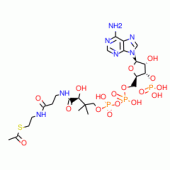 (ACETYL-1-14C)-COENZYME A