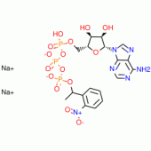 ADENOSINE-5'-TRIPHOSPHATE GAMMA(1-(2-NIT ROPHENYL)E