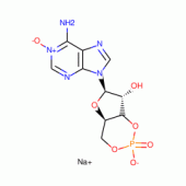 ADENOSINE N1-OXIDE 3':5'-CYCLICMONOPHOSP HATE SODIU