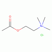 ACETYLCHOLINE-(METHYL-14C) CHLORIDE