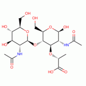 N-Acetyl-D-glucosaminyl-(1-4)-N-acetylmuramic Acid