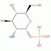 A-D-GLUCOSAMINE 1-PHOSPHATE FREE ACID