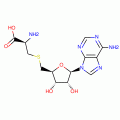 S-ADENOSYL-L-CYSTEINE