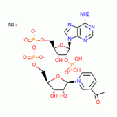 3-ACETYLPYRIDINE ADENINE DINUCLEOTIDEPHO SPHATE SOD