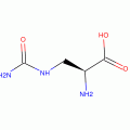 L-Albizziin