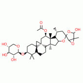 ACTEIN(P)