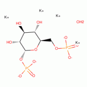 A-D-GLUCOSE 1,6-DIPHOSPHATE POTASSIUM