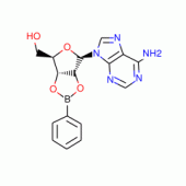Adenosine-2’,3’-O-phenylboronate