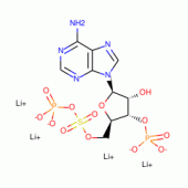 ADENOSINE 3'-PHOSPHATE 5'-PHOSPHOSULFATE  LITHIUM